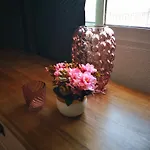 With A Large Sunny Balcony And A Swimmig Pool